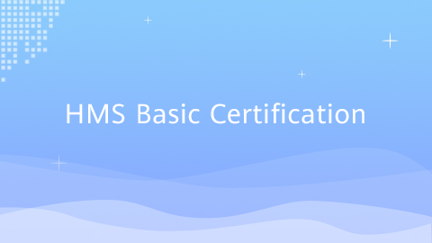 HMS Basic Exam Badge