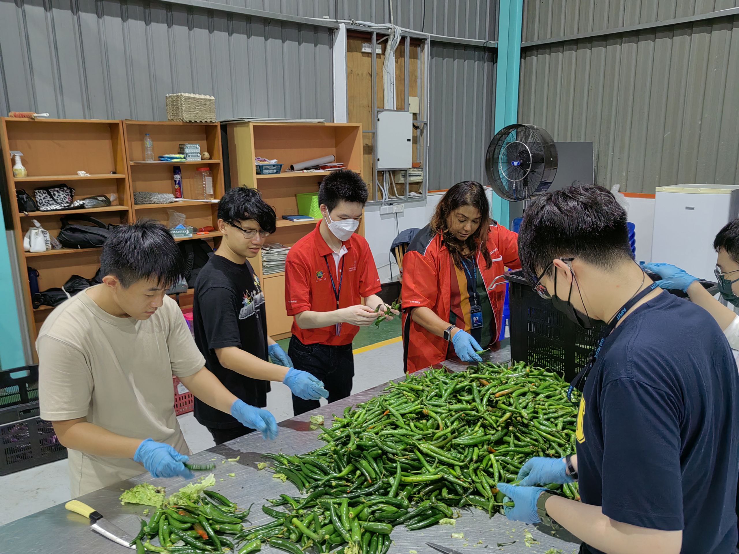 The Lost Food Project - Workshop 1