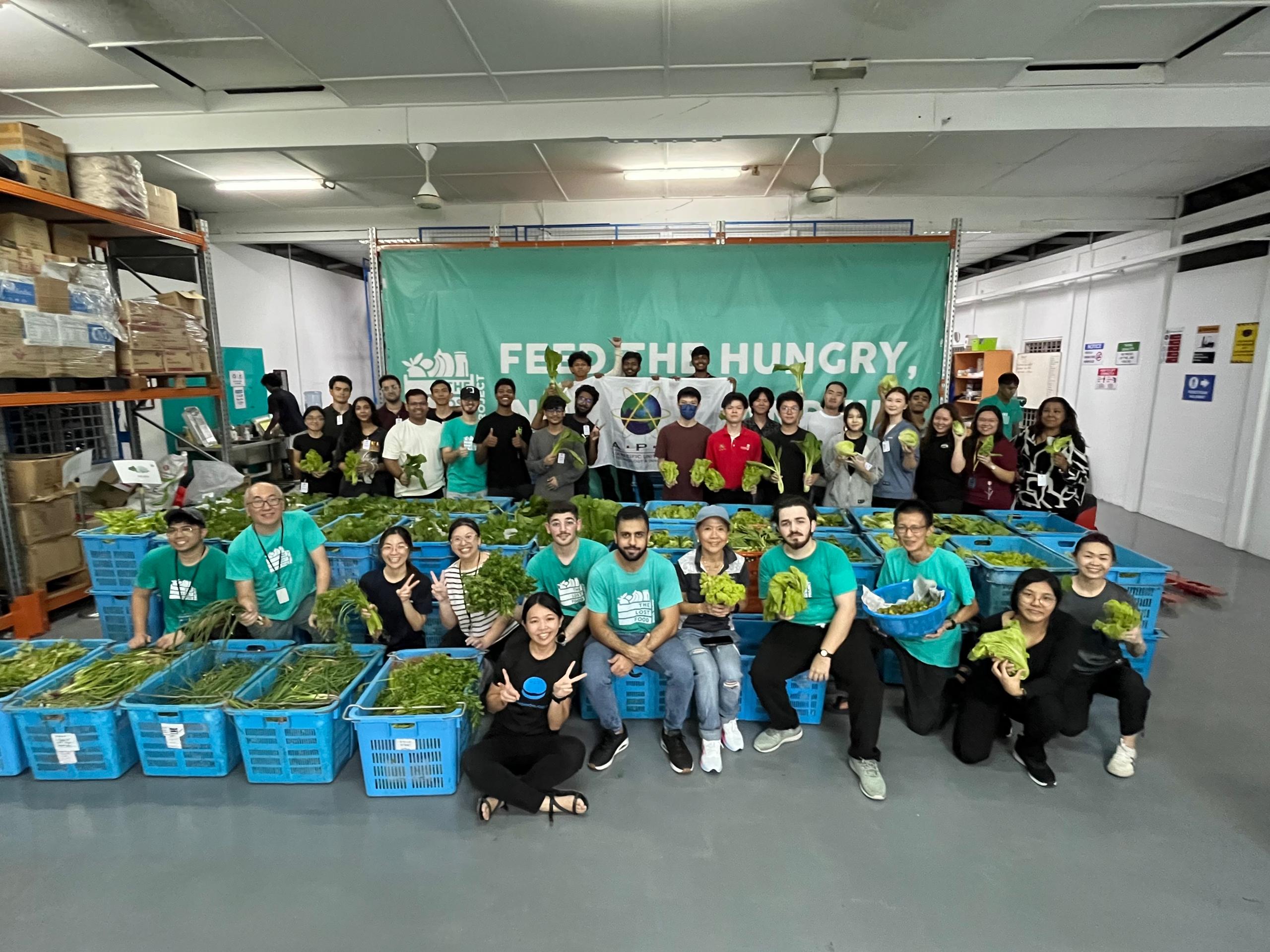 The Lost Food Project - Workshop 7
