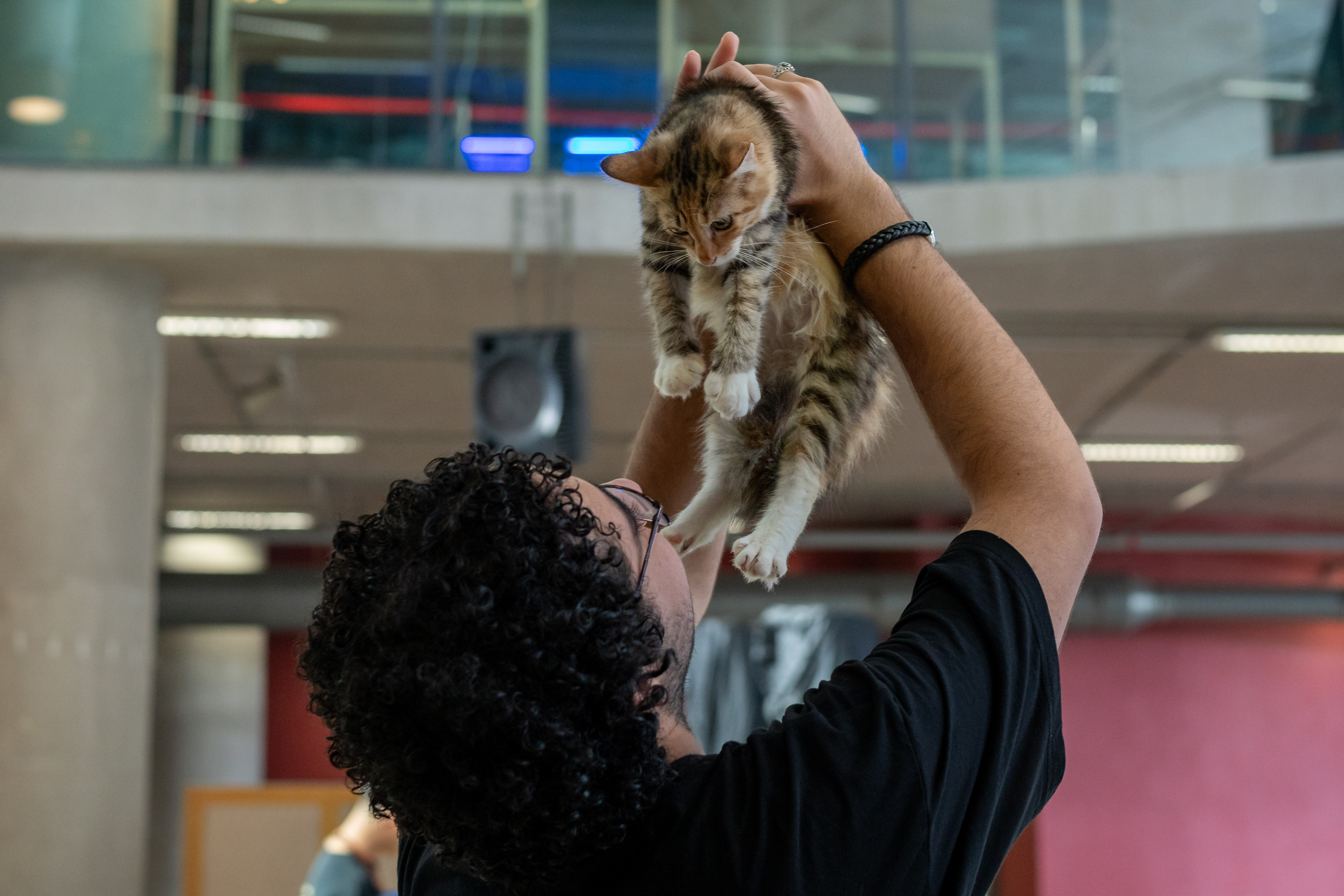 World Environment Day 2025 - Paw & Plant - 686d0eab2f6fb_1751977643