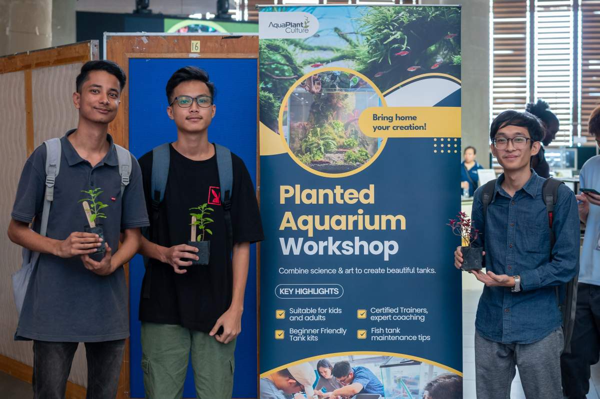 World Environment Day 2025 - Paw & Plant - 6872882d5cab4_1752336429