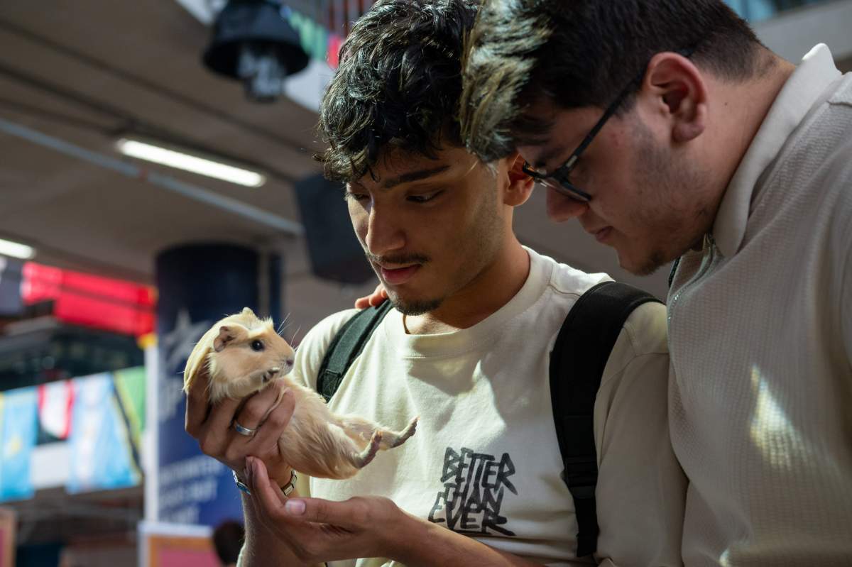 World Environment Day 2025 - Paw & Plant - 68728868d06f9_1752336488