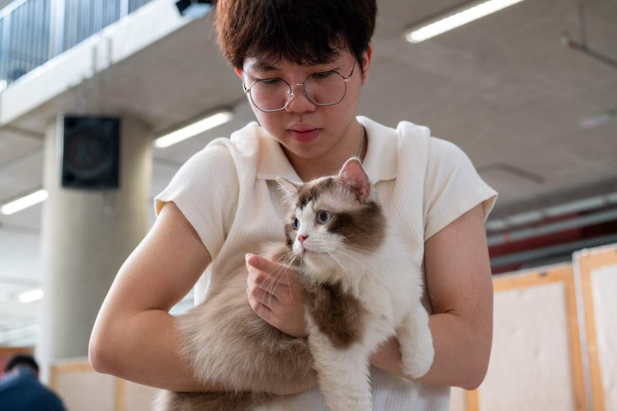 World Environment Day 2025 - Paw & Plant - 687288a5473d7_1752336549