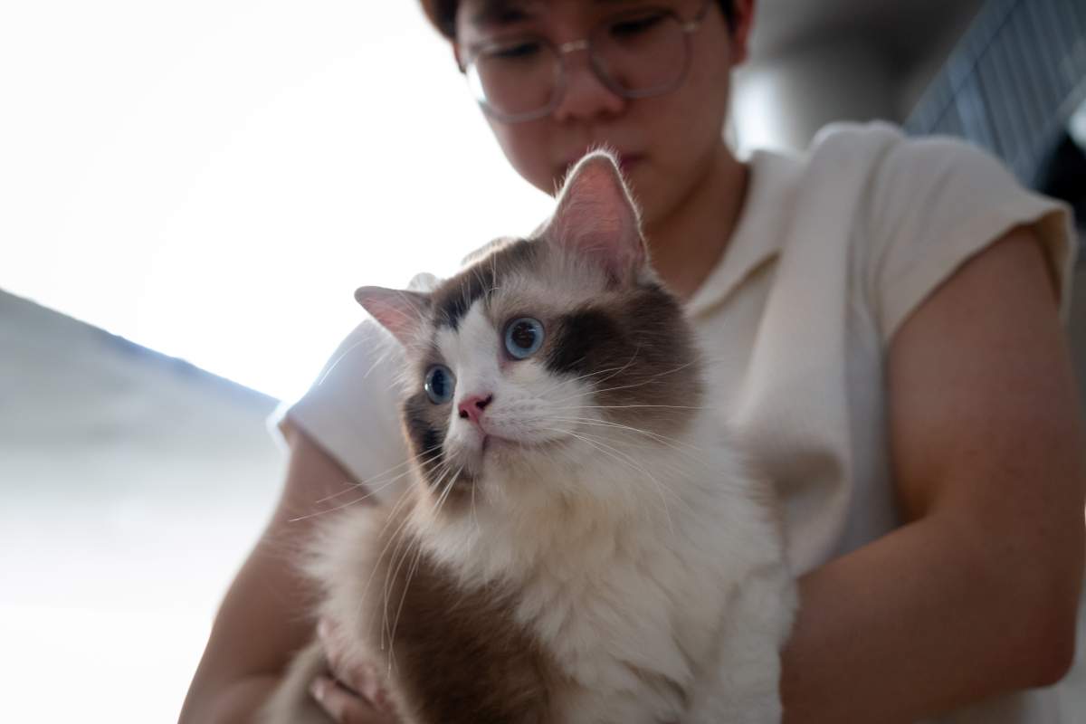 World Environment Day 2025 - Paw & Plant - 687288a5c77a9_1752336549
